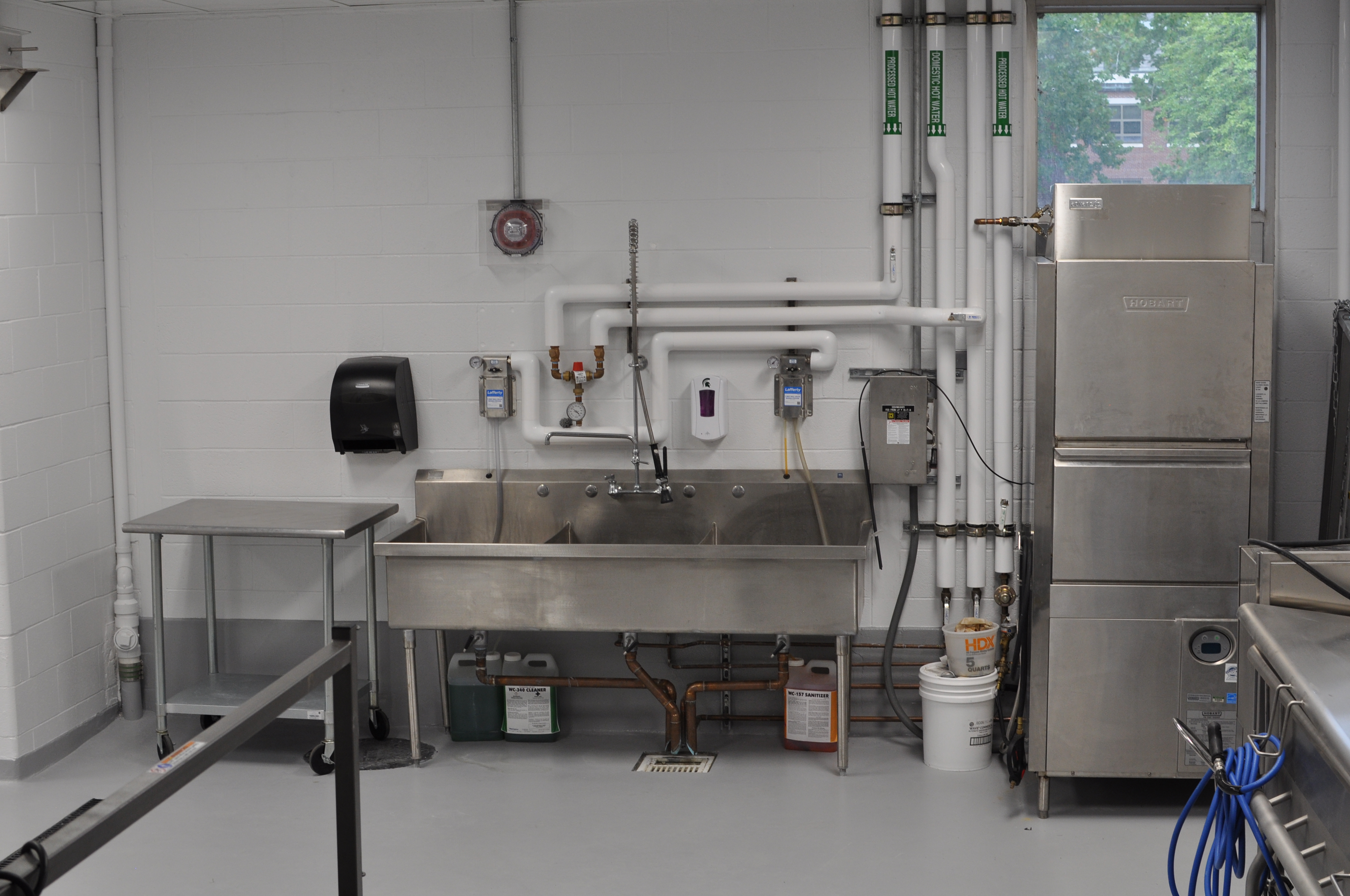 Food Processing Lab 9